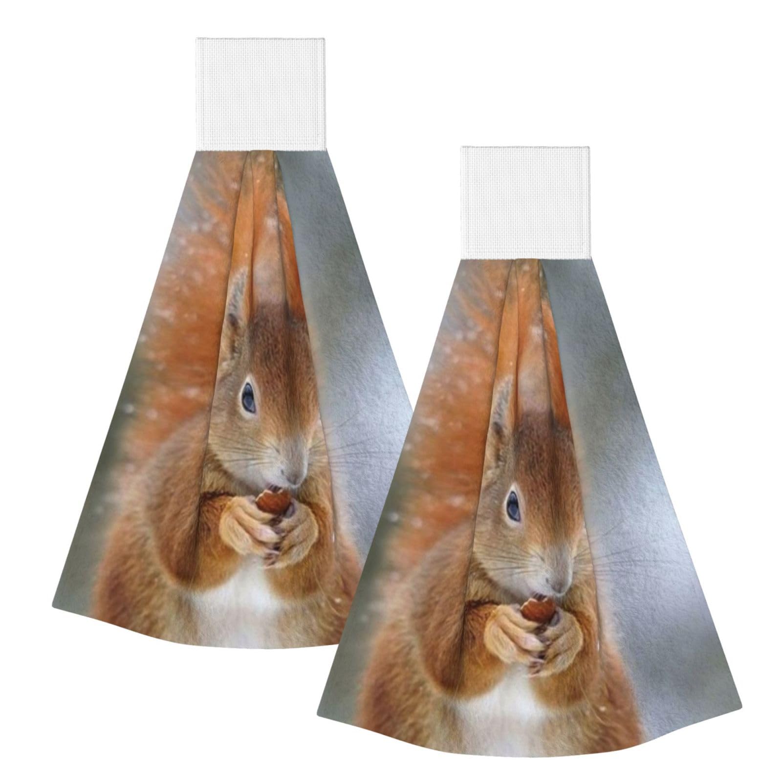 DOPKLNA Cute Squirrel, 2 Pcs Hanging Coral Fiber Hand Towels for Bathroom, Absorbent Kitchen Towels