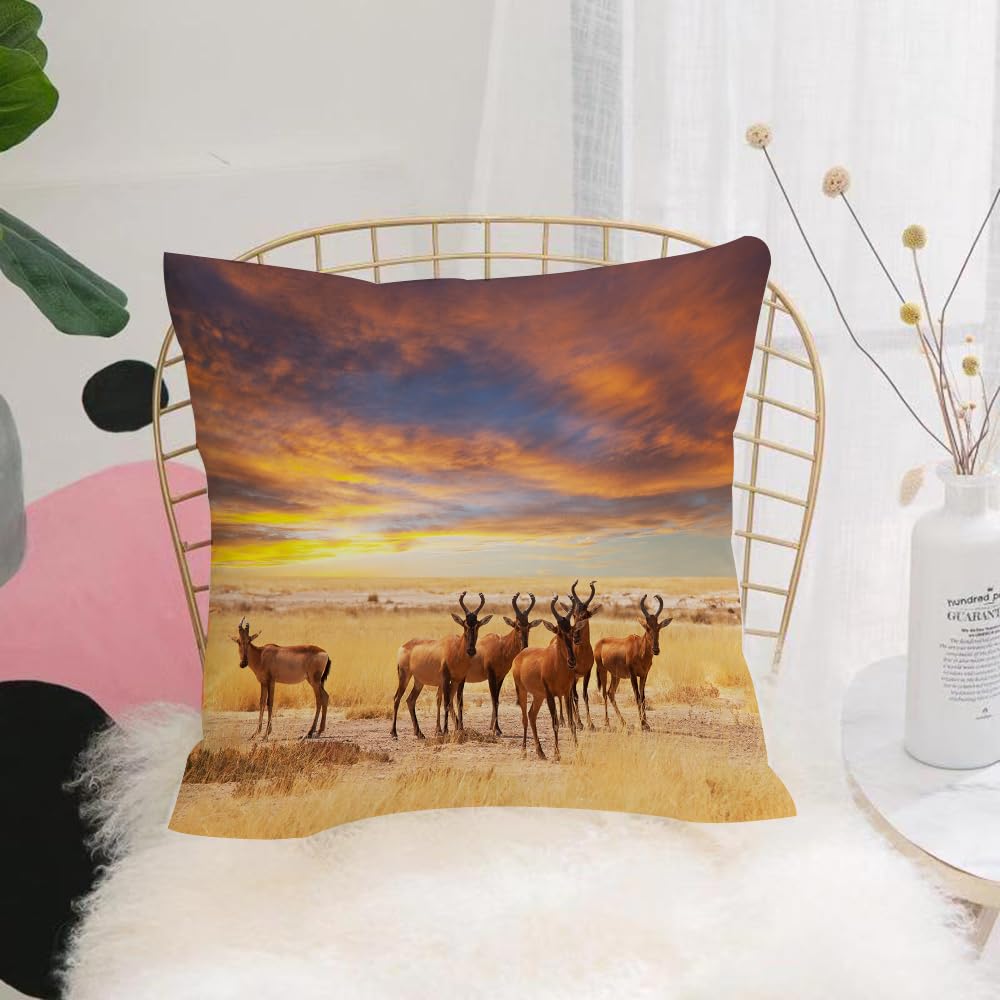 Hyosxw Safari Scenery, Antelope Crowd On Ows At Sun - A7 Cushion Cover,Throw Pillow Case Home Decorative For Living Room Bedroom Sofa Chair 18X18 Inch,Safari Scenery, Antelope Crowd On Ows At Sunset Photo Of Afri Wildlife,Pillowcase 45X45cm