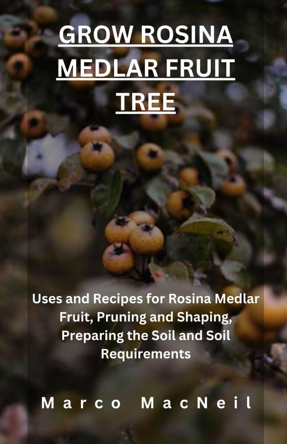 GROW ROSINA MEDLAR FRUIT TREE: Uses and Recipes for Rosina Medlar Fruit, Pruning and Shaping, Preparing the Soil and Soil Requirements