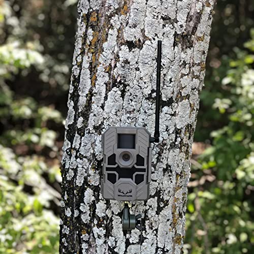 Stealth Cam Wildview Cellular Relay 16MP 0.7 Seconds Trigger Speed 80 ft Detection & IR Range Hunting Trail Camera - Supports SD Cards Up to 32GB - Thumbnail 4