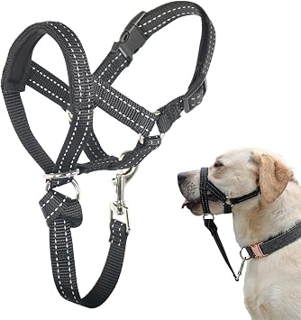 M Reflective Head Collar and M Adjustable Red No Pull Muzzle Leash Bundle for Medium Dogs, Effective Dog Training Tools to Prevent Pulling, Lunging, Jumping