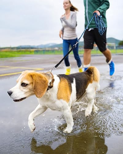 Miniatura 9 de Correa larga para perro con hilos reflectantes de 15 pies, 20 pies, 30 pies, 50 pies, correas elásticas resistentes para perros de raza pequeña,