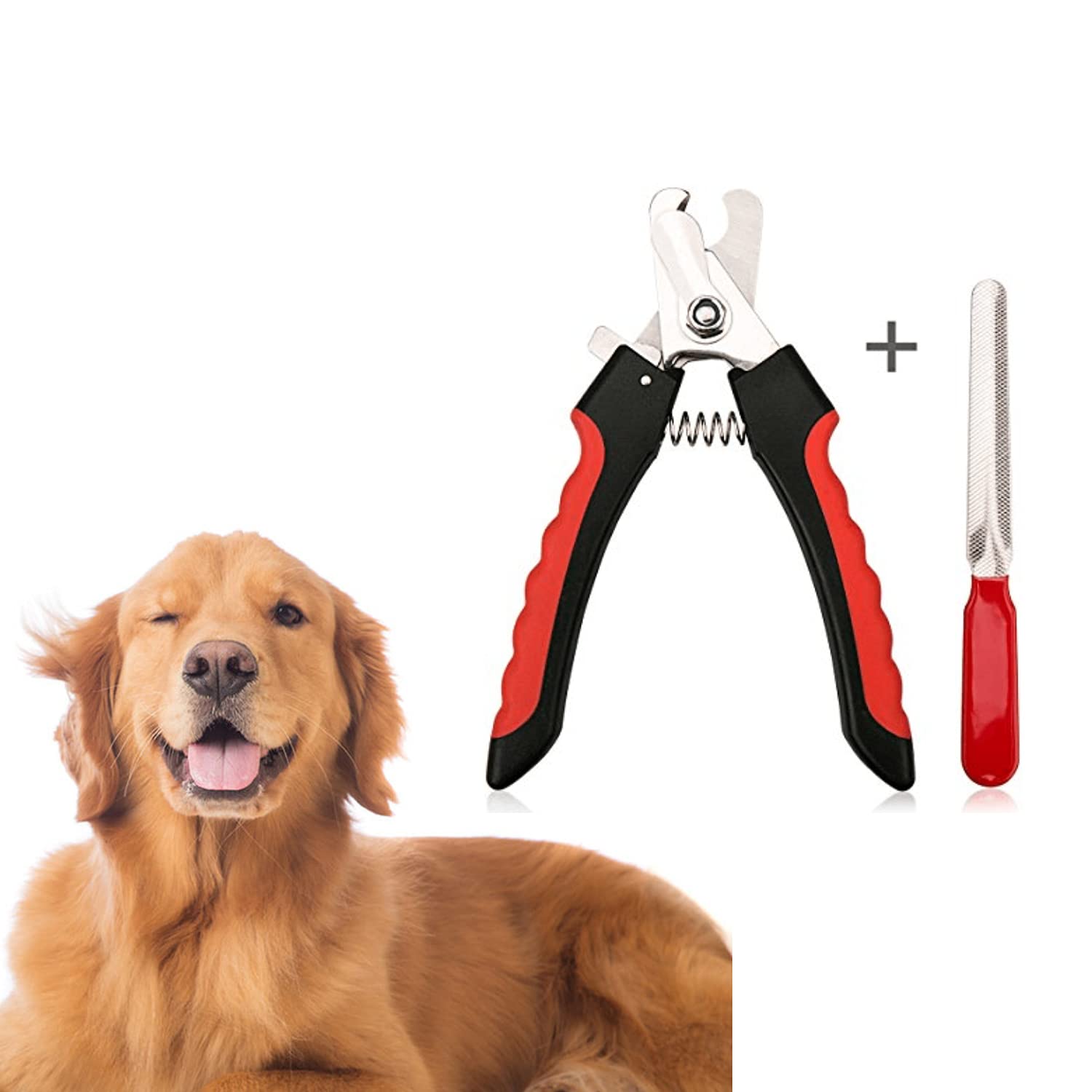 Regiis Nail clipper for Dogs , Nail Cutter for Small, Medium and Large Size Dogs ( Professional and Safe ) (B09FTLVQPL) Amazon Price History, Amazon Price Tracker