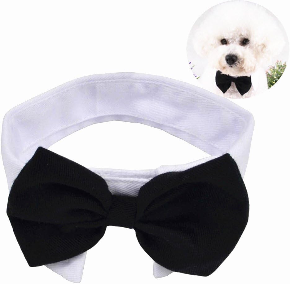 YUMSUM Pet Bowtie Collar,Formal Dog Cat Neck Bow with Adjustable Closure White Collar (L, Black&White)