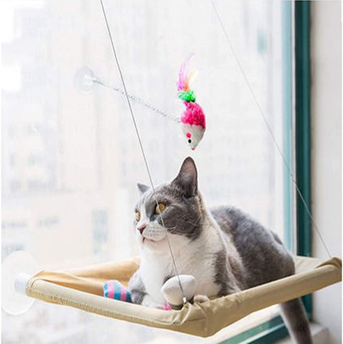 Hamaca para Gato Hamaca Ventana de Gato Hamaca para tomar el sol para gatos montada en la ventana, cama colgante para mascotas con ventosa y manta negra para mascotas para percha para gatos GXBCS 1115
