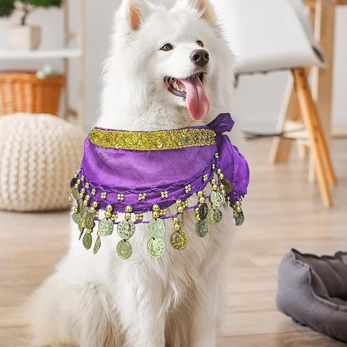 Falda de Danza del Vientre para Perro 2 Piezas miniatura 4