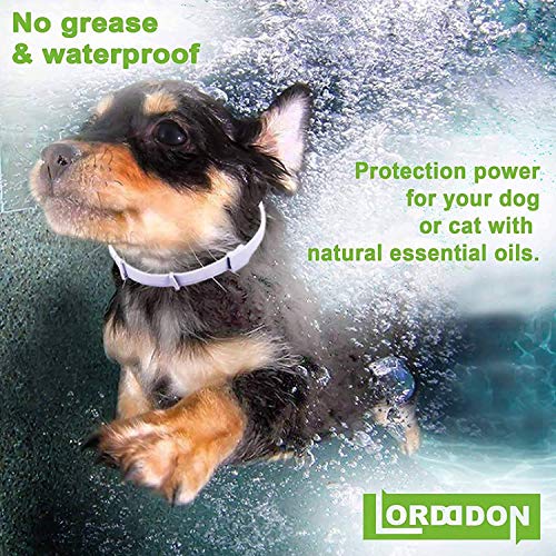 LORDDDON Dog Flea Collars with Reflectors Vet-Recommended Flea and Tick Prevention Collar for Dogs Above 18 lbs Large… - Image 7