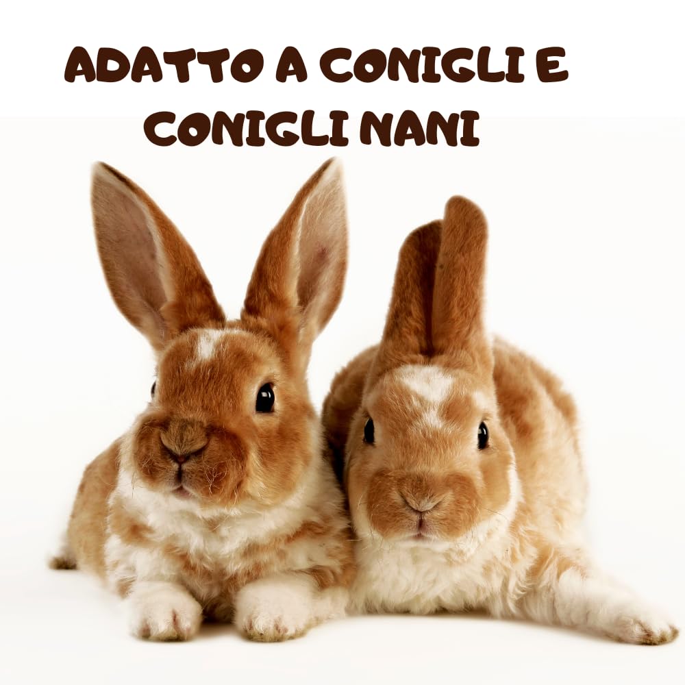 Badia Mangime per Coniglio: Confezione da 10 kg di Nutrizione Equilibrata per Conigli e Conigli Nani, il Cibo Essenziale per il Benessere dei tuoi Piccoli Amici!