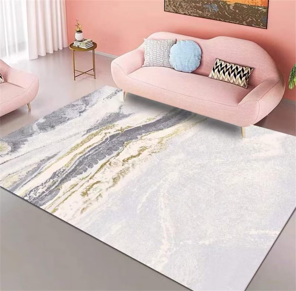 Tapis vinyl pour chambre facile d'entretien fini les taches de salon