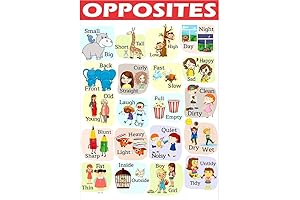 The Weekend Posters: Aesthetic Poster Wall Decor