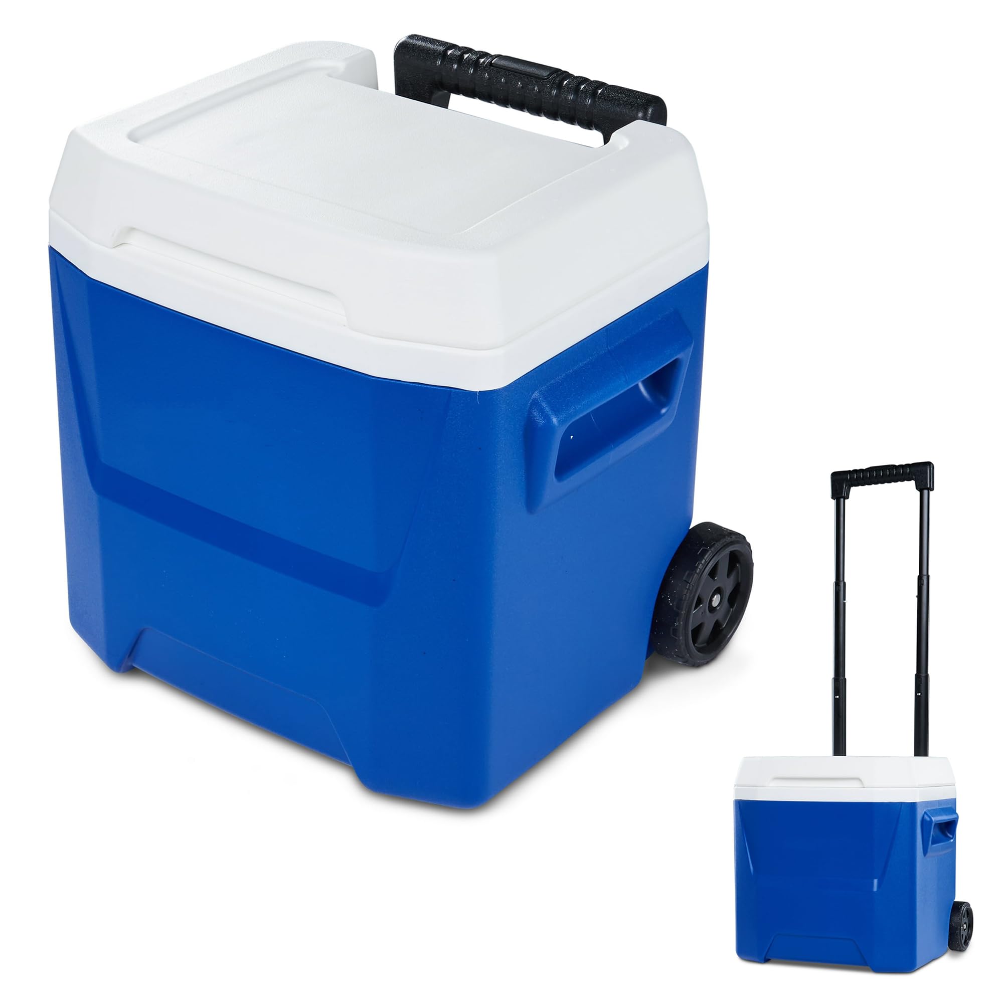 TOPDZHSHI 16QT Cooler