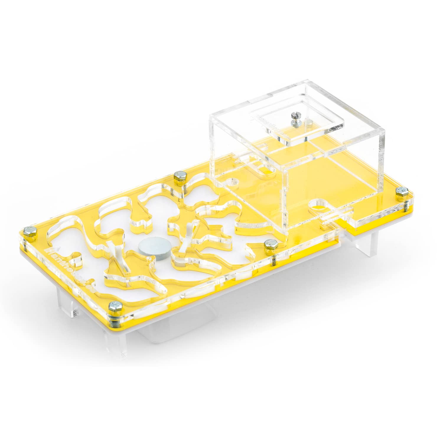 AntHouse.es - Hormiguero Acrílico - Kit Educativo Seta 10x20x1,3 cm - Amarillo - Hormigas Incluidas