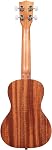Kala KA-15 Series Satin Mahogany Ukulele, with Rosewood Fingerboard, 4 Aquila Super Nylgut Strings, for All Ages and Skill Levels, 26 Inches, Tenor Ukulele