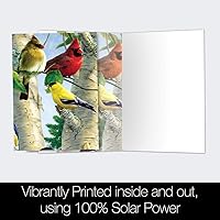 Vista 3 de Tree-Free Greetings EcoNotes - Juego de 12 tarjetas de notas favoritas para todas las ocasiones con sobres, 4 x 6 pulgadas (FS66507)