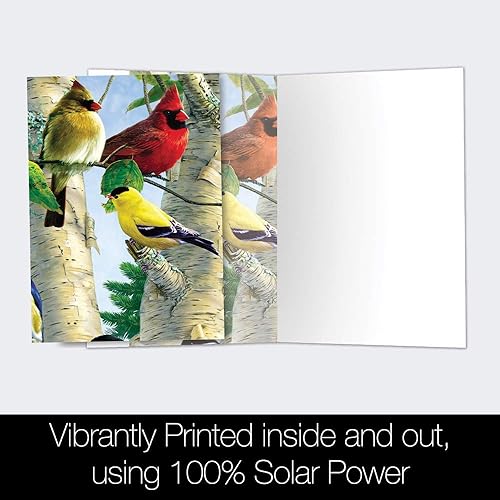 Miniatura 3 de Tree-Free Greetings EcoNotes - Juego de 12 tarjetas de notas favoritas para todas las ocasiones con sobres, 4 x 6 pulgadas (FS66507)