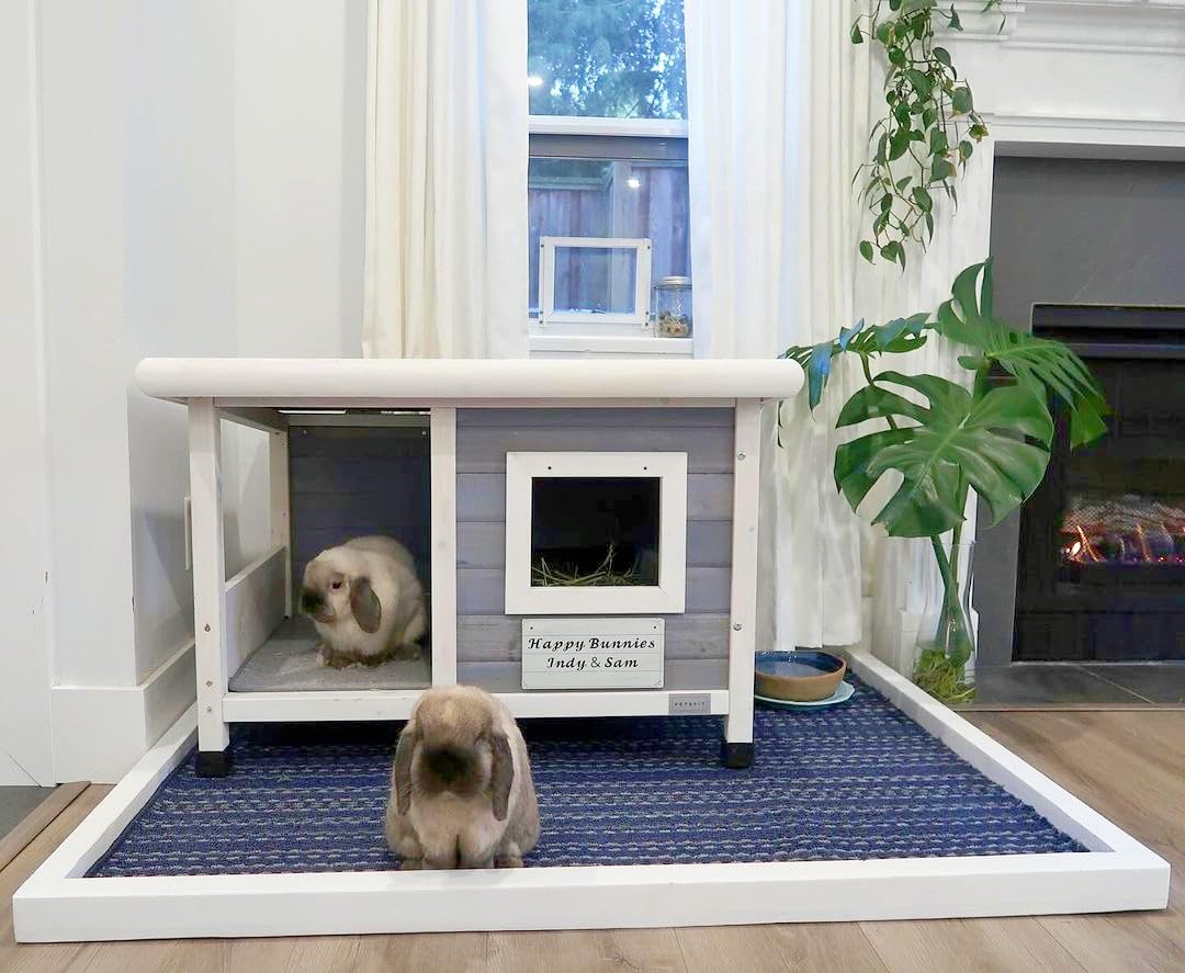 Petsfit Domek dla psów drewniany ze stalowym oknem, buda na zewnątrz z dachem asfaltowym