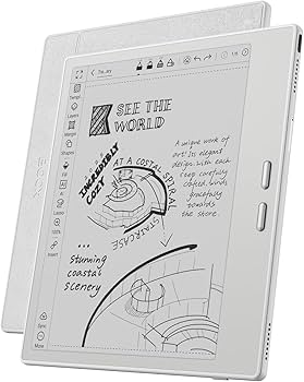 Amazon.co.jp: BOOX Go 7電子書籍リーダー 7インチ 白黒 64GB