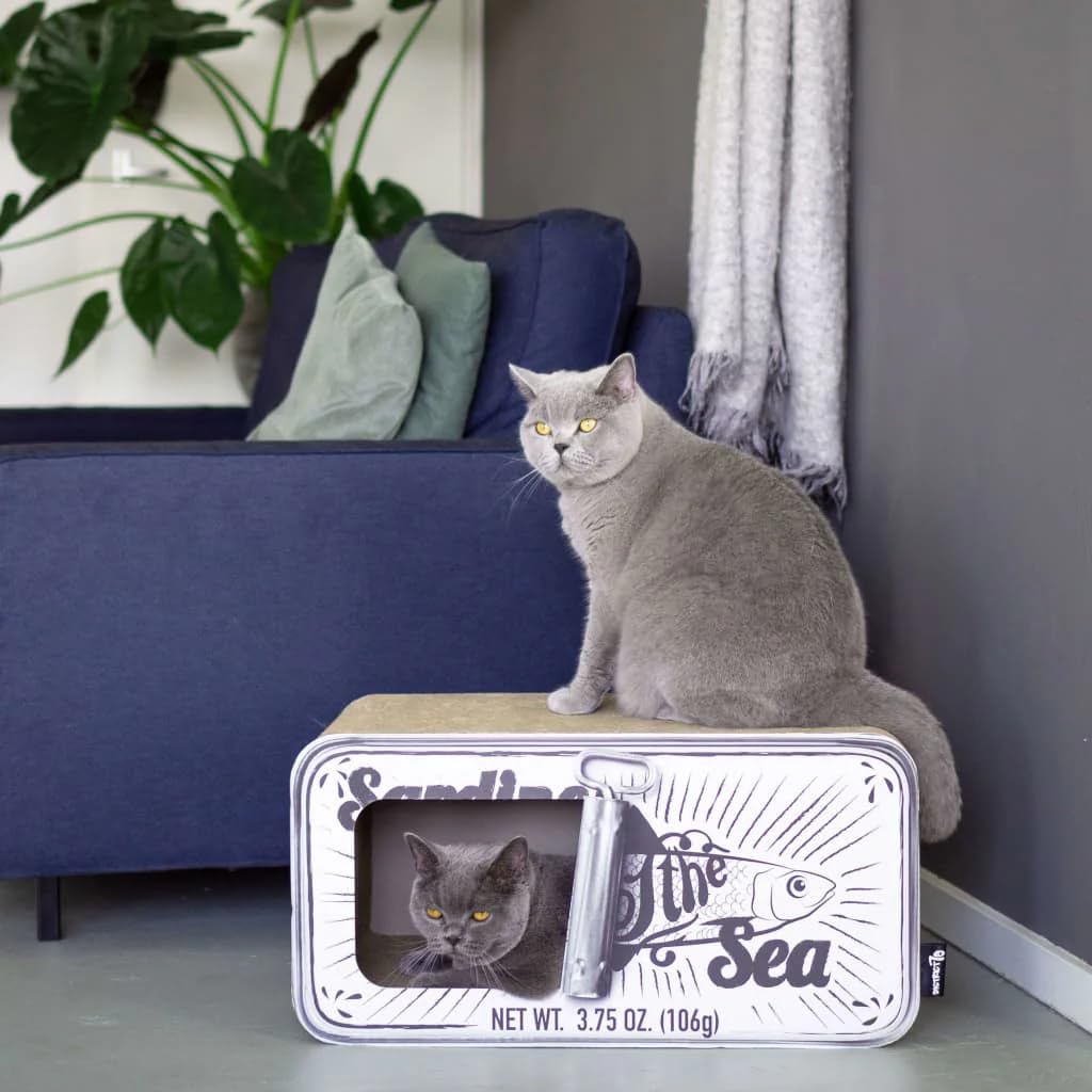 District 70 Sardine Arbre à Chat Carton Ondulé Blanc