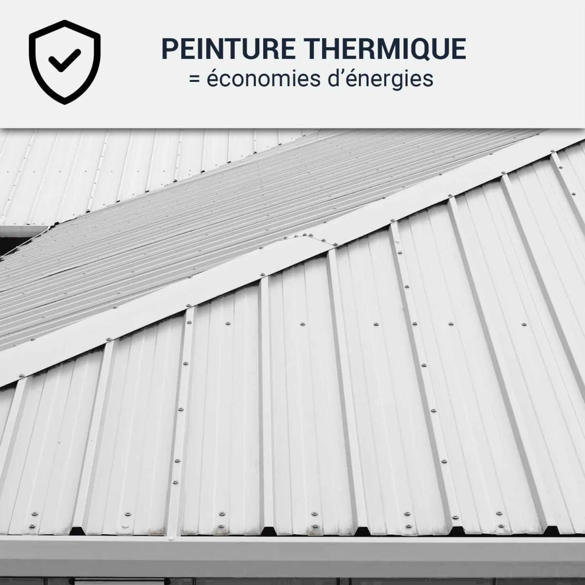 ARCANE INDUSTRIES Coolroof, toiture métallique étanche, anticorrosion - 2.5 L Blanc