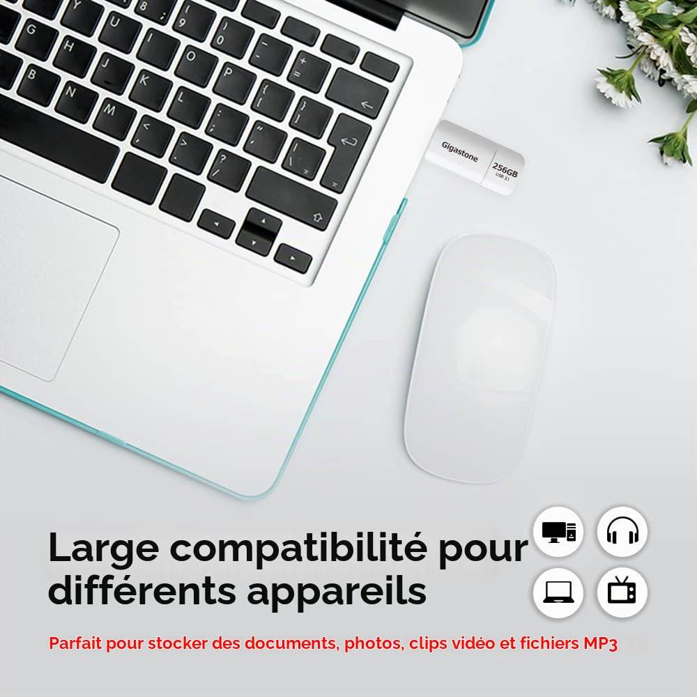 GIGASTONE 256Go Clé USB Flash, Z60 USB 3.2 Gen 1, 100Mo/s Ultra Rapide, sans Capuchon, Stockage et Sauvegarde pour PC/Mac/TV/Voiture, USB 2.0/3.0/3.1 Compatible