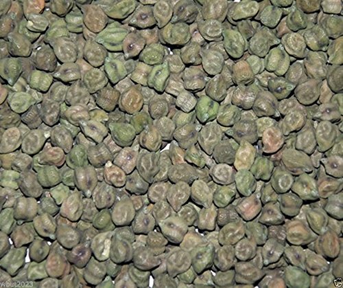 Green Chickpeas - 1000 Plant Seeds,Green Chana or Hara Chana- EZ to Grow !
