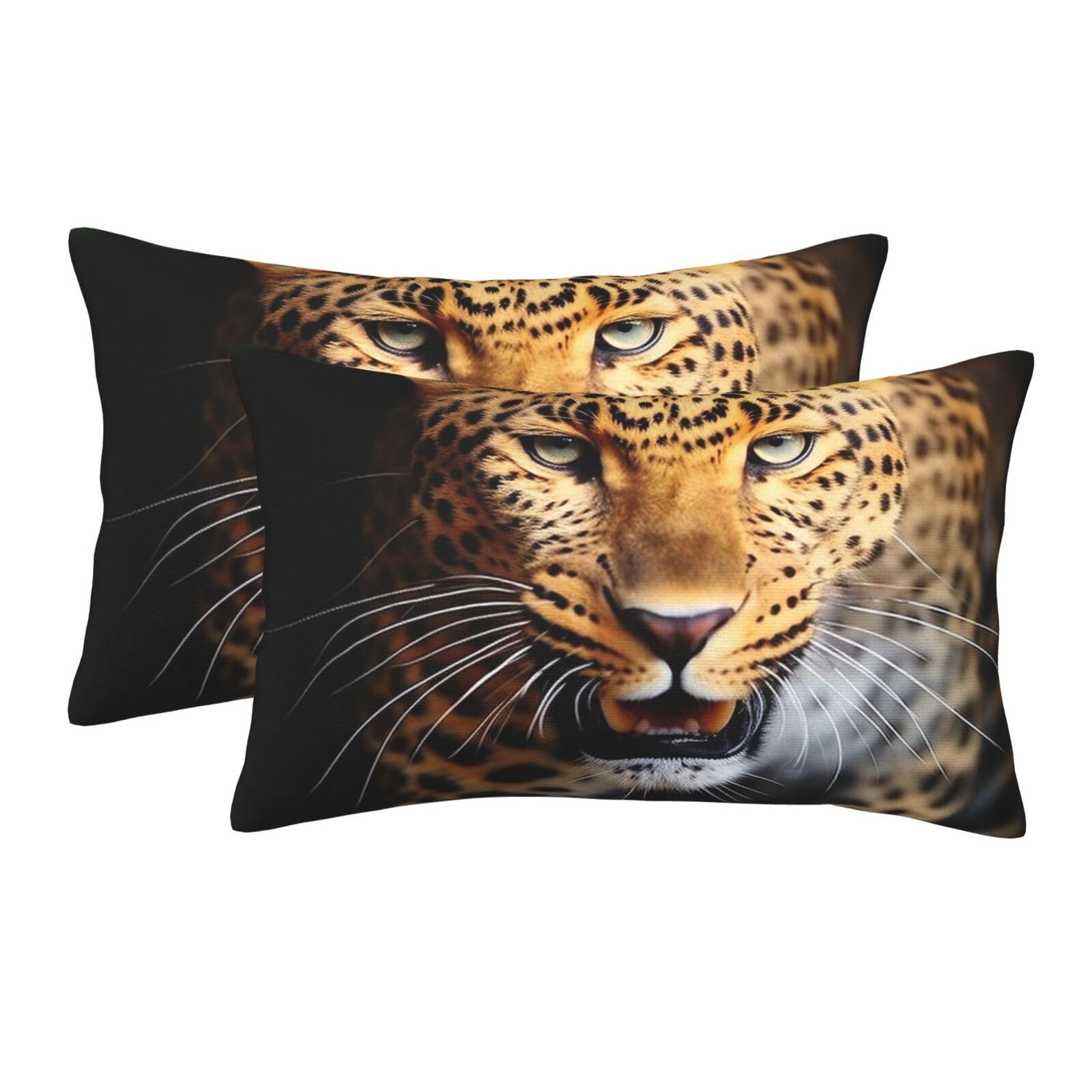 2 Pack Standard Size Pillow Cases for Hair and Skin Soft Breathable Pillow Case Covers with Hidden Zipper Leopard Pillowcase 20"x30" Pillow Cover for Sleeping Gift