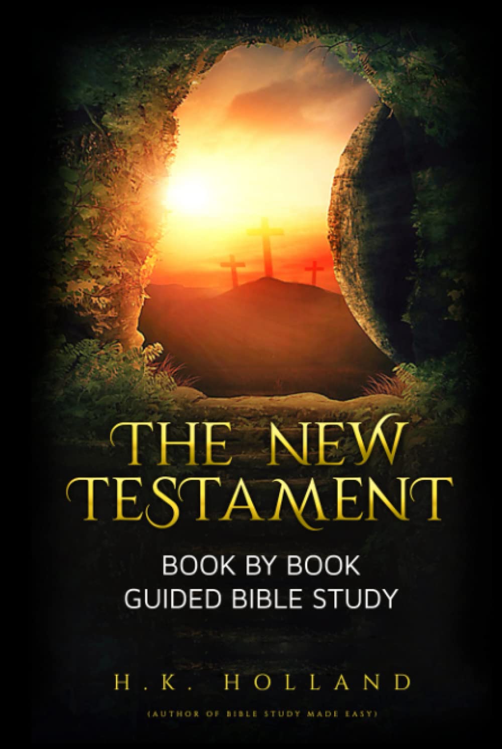 THE NEW TESTAMENT: Book by Book Guided Bible Study (How to read and understand the Bible)