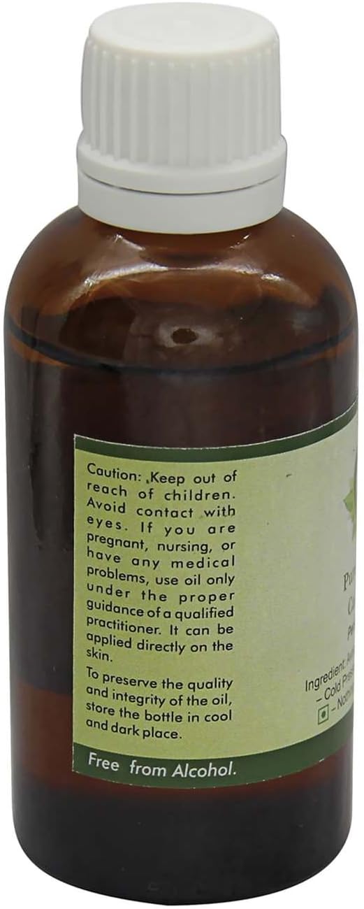 R V Essential Pure Avocado Carrier Oil 5ml (0.169oz)- Persea Americana (100% Pure and Natural Cold Pressed)