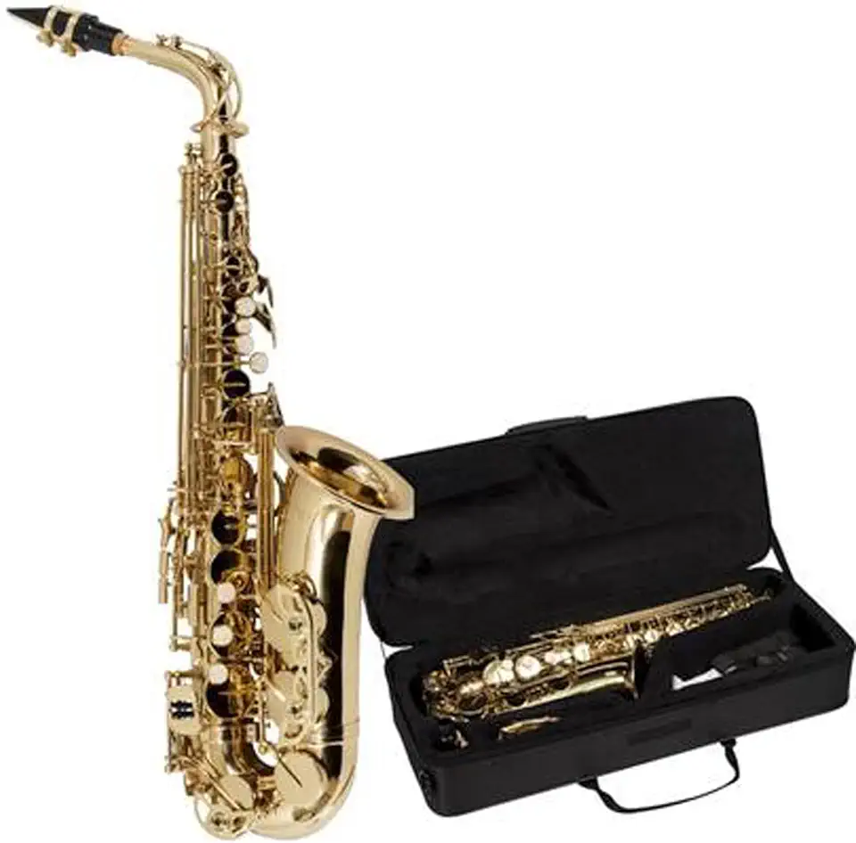 SAX ALTO VOGGA VSAS701N
