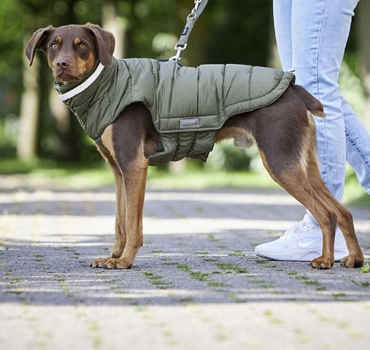 Wolters Steppjacke Cosy, Größe:26 cm, Farbe:Olive