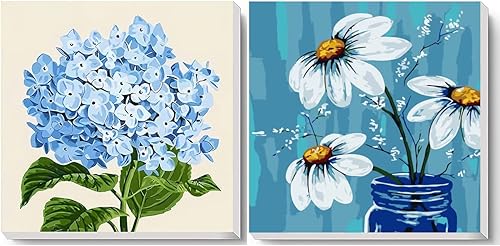 TINDAY Paquete de 2 pinturas enmarcadas por números para adultos, principiantes, belleza, bricolaje, lienzo, pintura por números, pintura acrílica