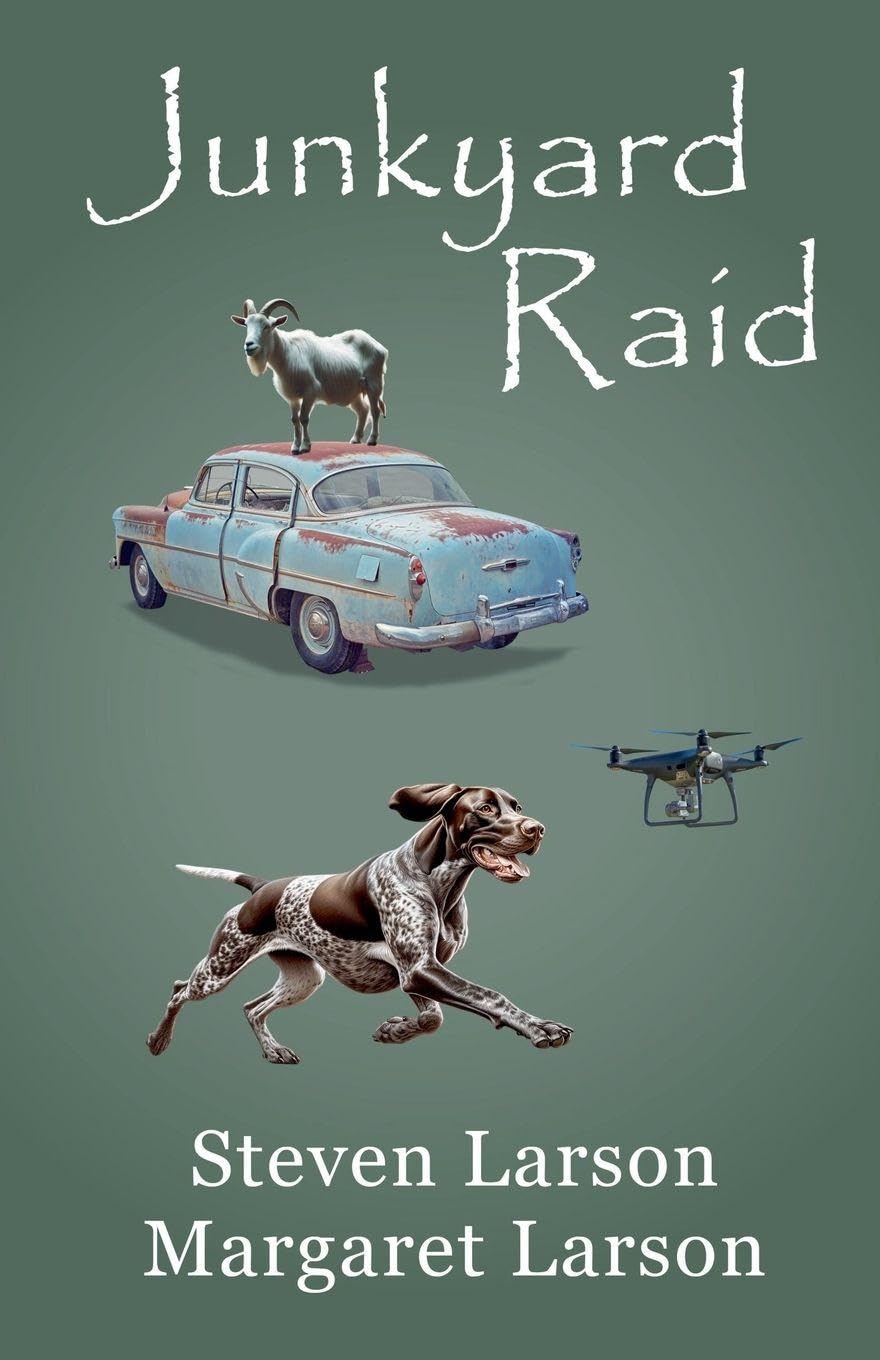Junkyard Raid