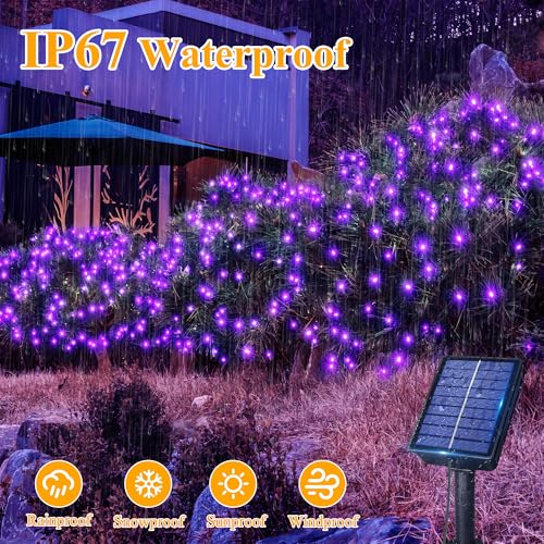 Image of Ollny Purple Solar String Lights, 2 Pack Total 80FT 240LED Waterproof Solar Halloween Lights, 8 Modes Fairy Lights for Outside House Yard Garden Holiday Party