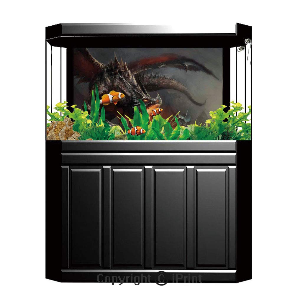 Buy Aquarium Fish Tank Background,Medieval Decor,Woman with Victorian