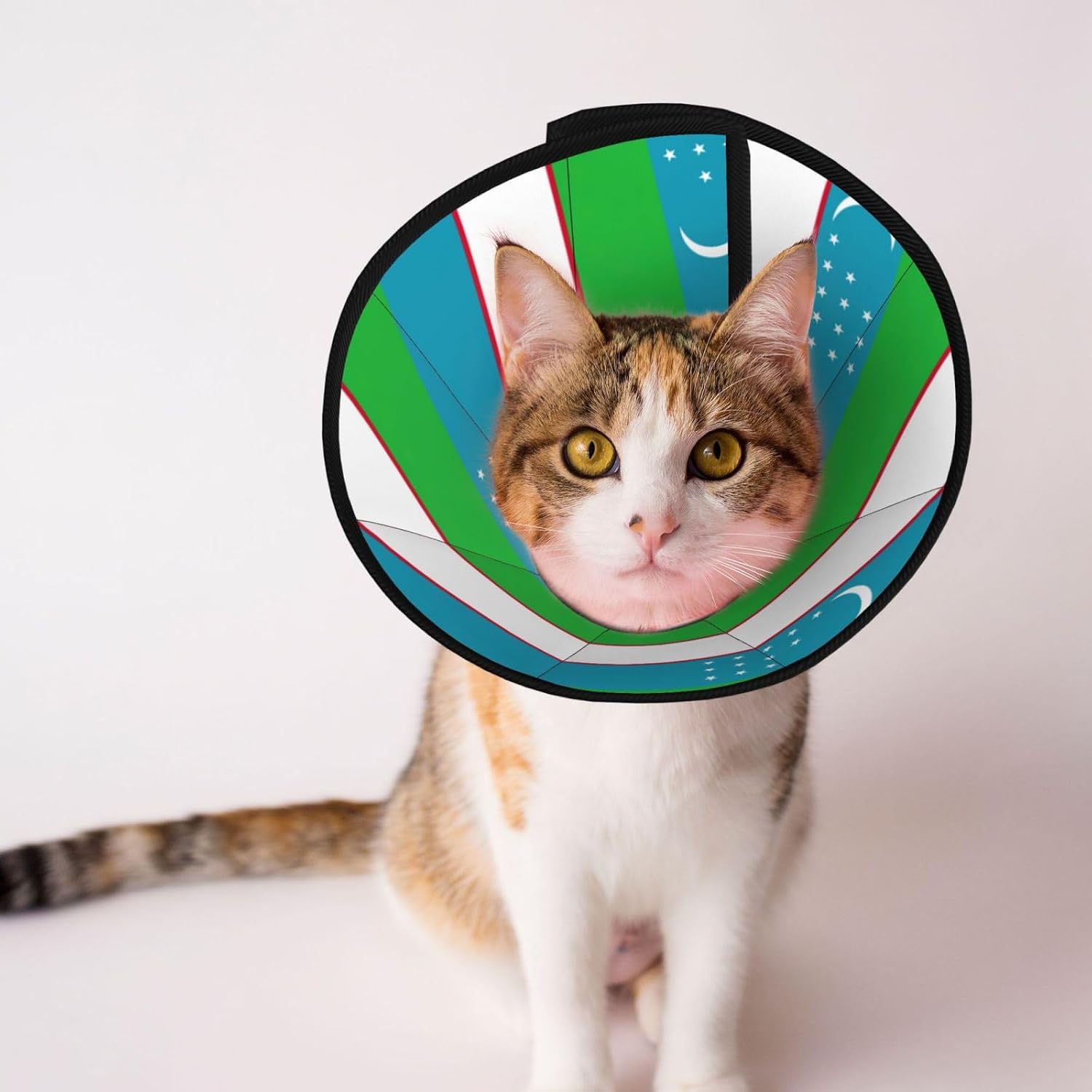 Flag of The Republic of Uzbekistan Print Cat Cone Collar, Adjustable Elizabethan Collar, Soft Dog Recovery Collars, for Small Large Cats