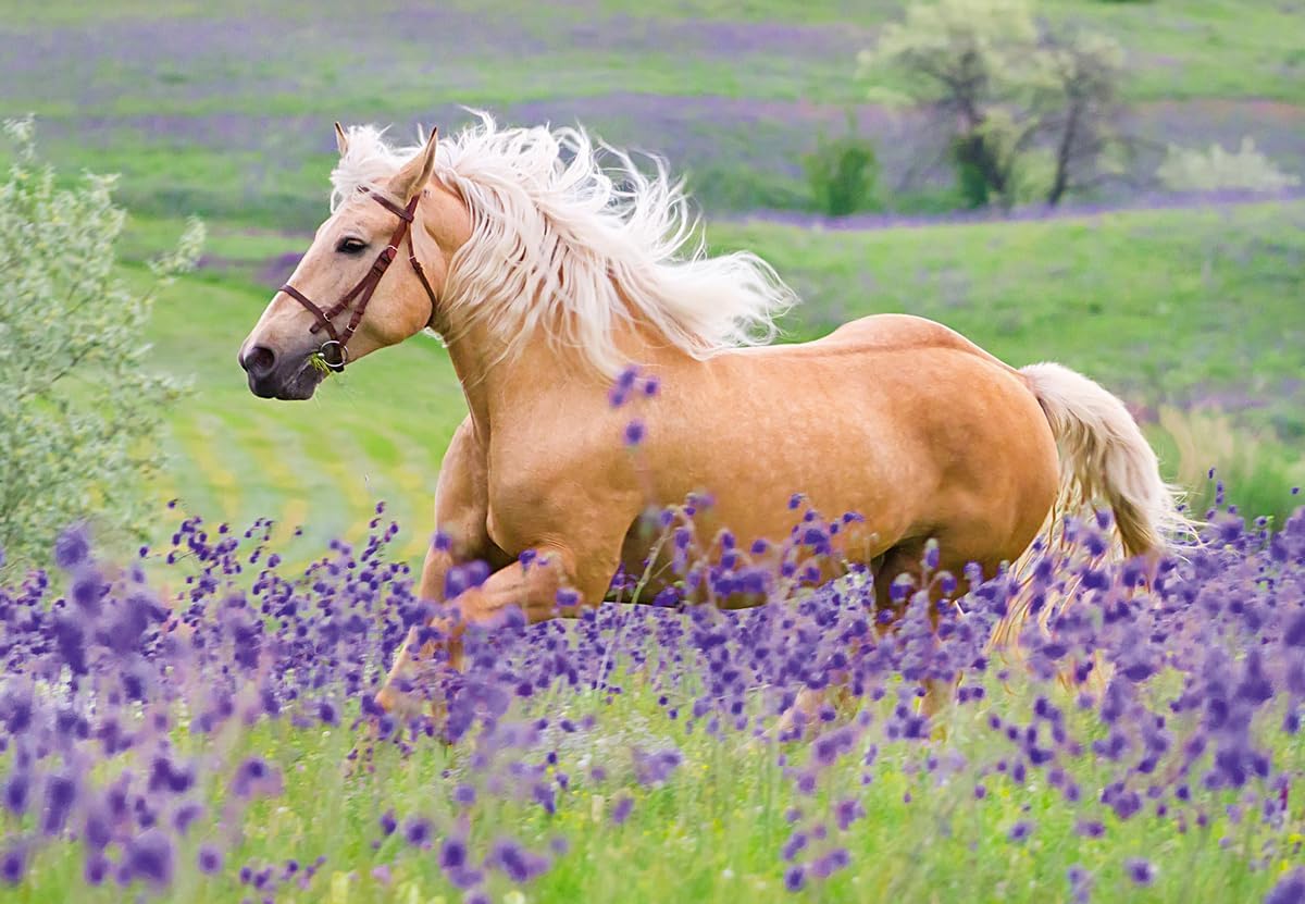 Ravensburger Children's Puzzle 05148 Horse Love Horse Puzzle for Children from 4 Years with 2 x 24 Pieces