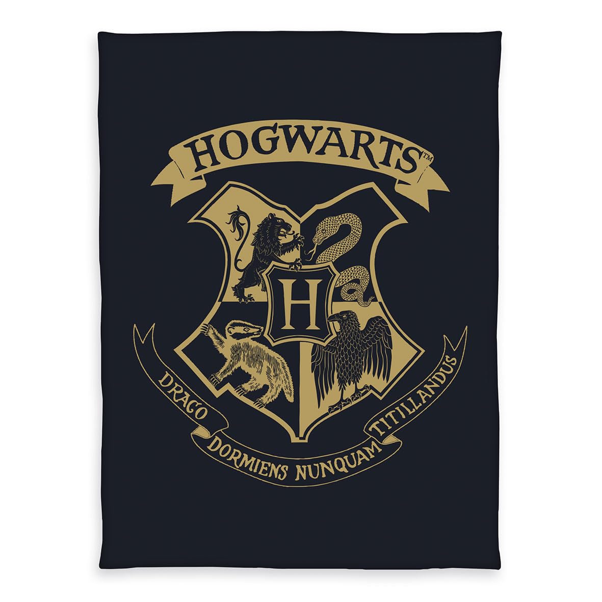 Coperta Harry Potter Poliestere 100x150 Cm - Fogliame Scolastico, Morbida E Accogliente, Frange, Ufficiale, Grigio
