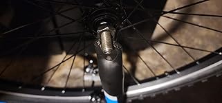 Review Image by Twisted tree