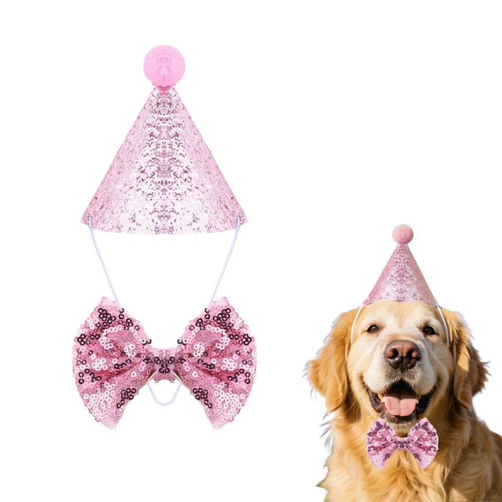 Chapeau d'anniversaire pour chiens et chats pour réussir vos fêtes à coup sûr