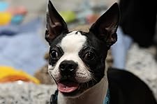 Review Image by Charles Charles