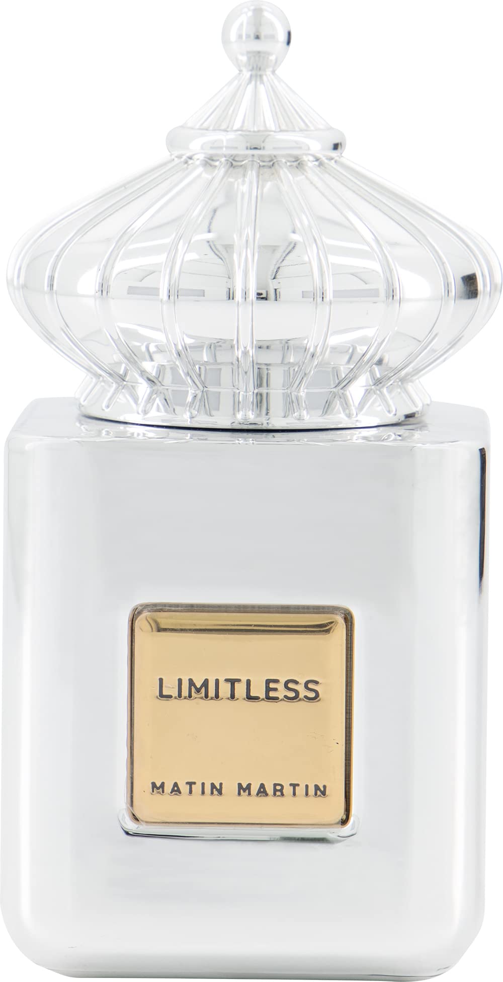 EAU DE PARFUM |100ml | MEN (LIMITLESS)