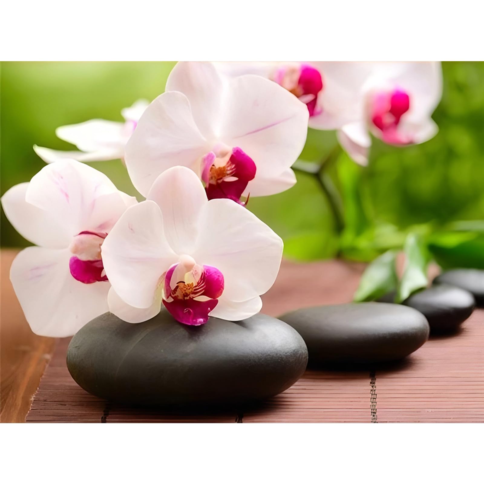 Poetrydraw E7159 Phalaenopsis Orchid 5D Diy Round Full Drill Diamond Art Painting Kit Gifts 40X30cm (E7159)