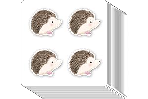 Hedgehog Stickers: Creative Arts and Crafts for Kids & Adults
