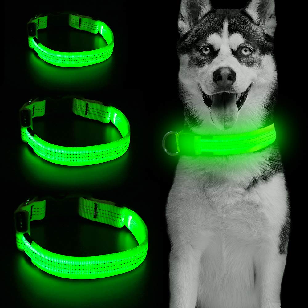Candofly LED Dog Collar USB Rechargeable - Glow in The Dark Light Up Dog Collars Bright Dog Lights for Night Walking Dog Camping Accessories S/M/L