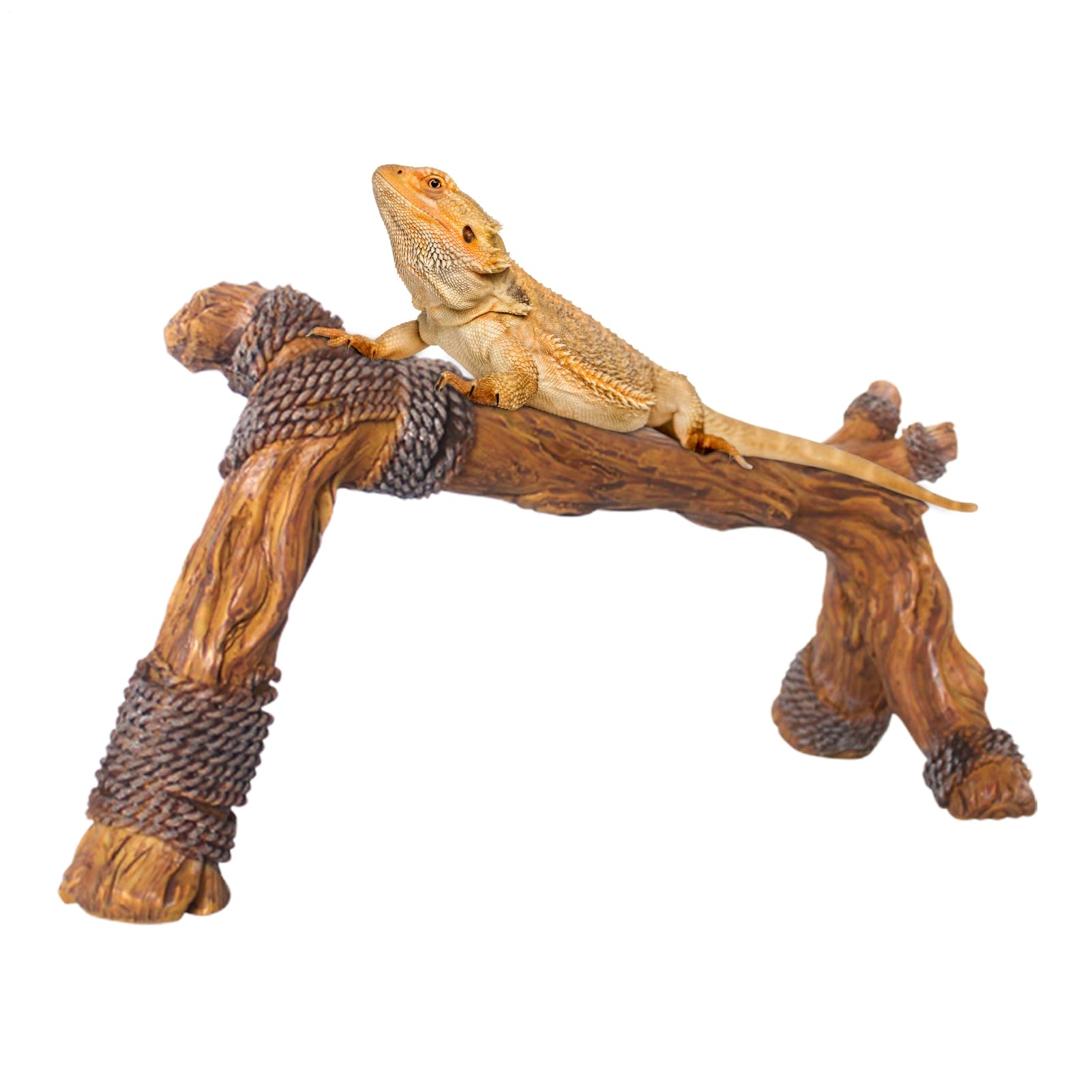 Rukjmqi Reptile Wood Branches Decor Snake Climbing Branch 24x9x13cm Lizard Habitat Decoration For Lizard Habitat Climb Accessories, Tank Tree Trunk Ornament For Bearded Dragon Geckos Chameleons Frog