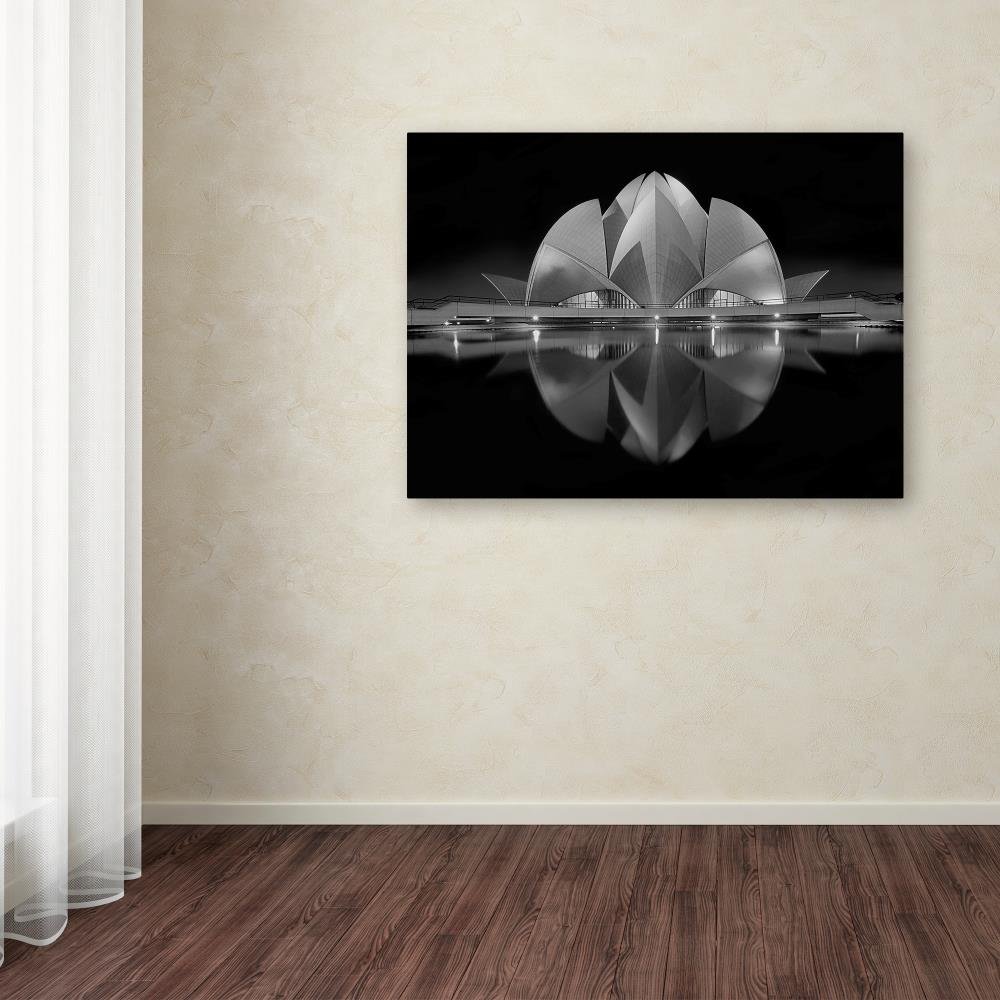 Amazon.com: Trademark Fine Art Black Contrast by Nimit Nigam