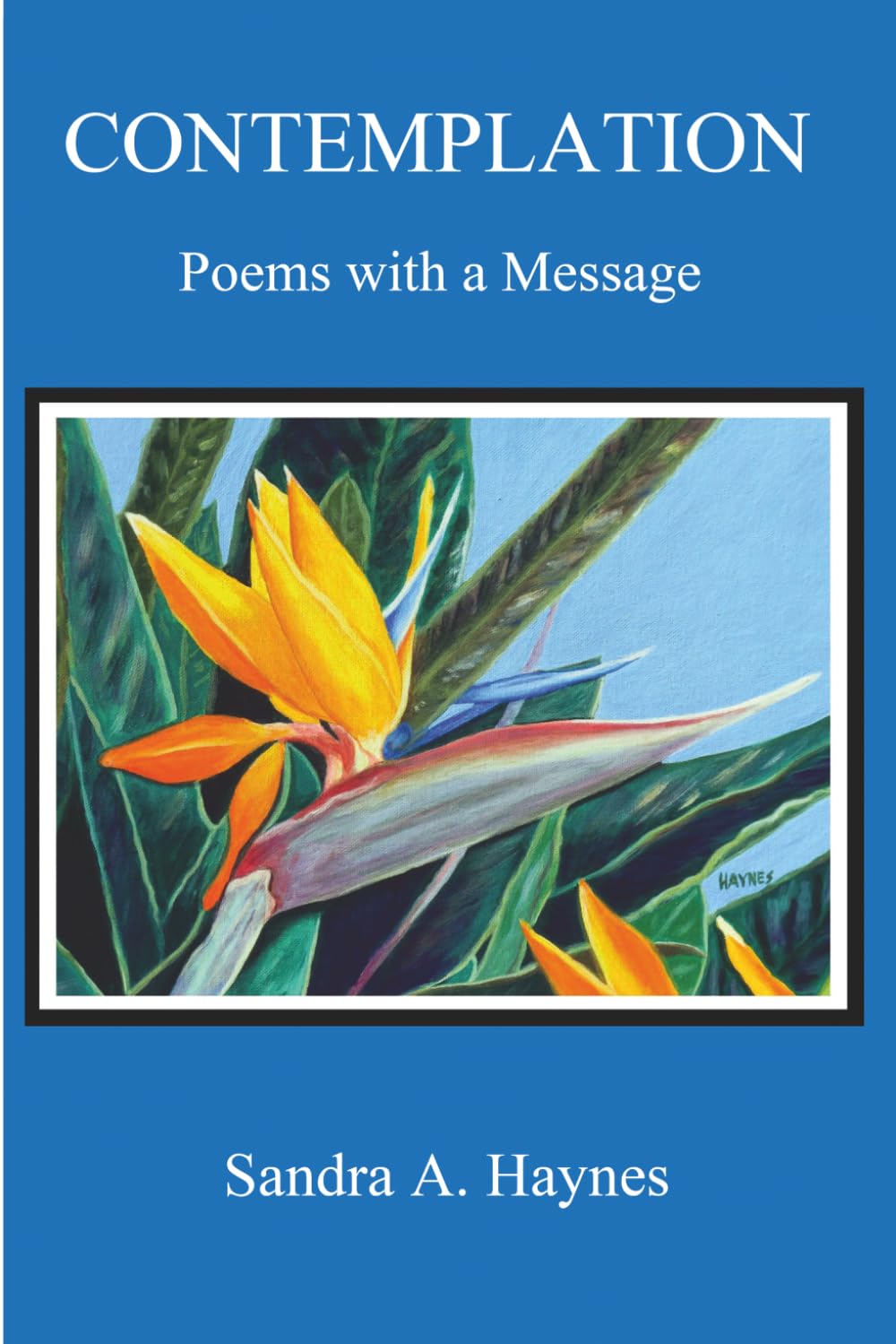 Contemplation: Poems with a Message