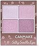 キャンメイク シルキースフレアイズ 12 モーニングビオラ 4色アイシャドウ ツヤ 透明感 パープル