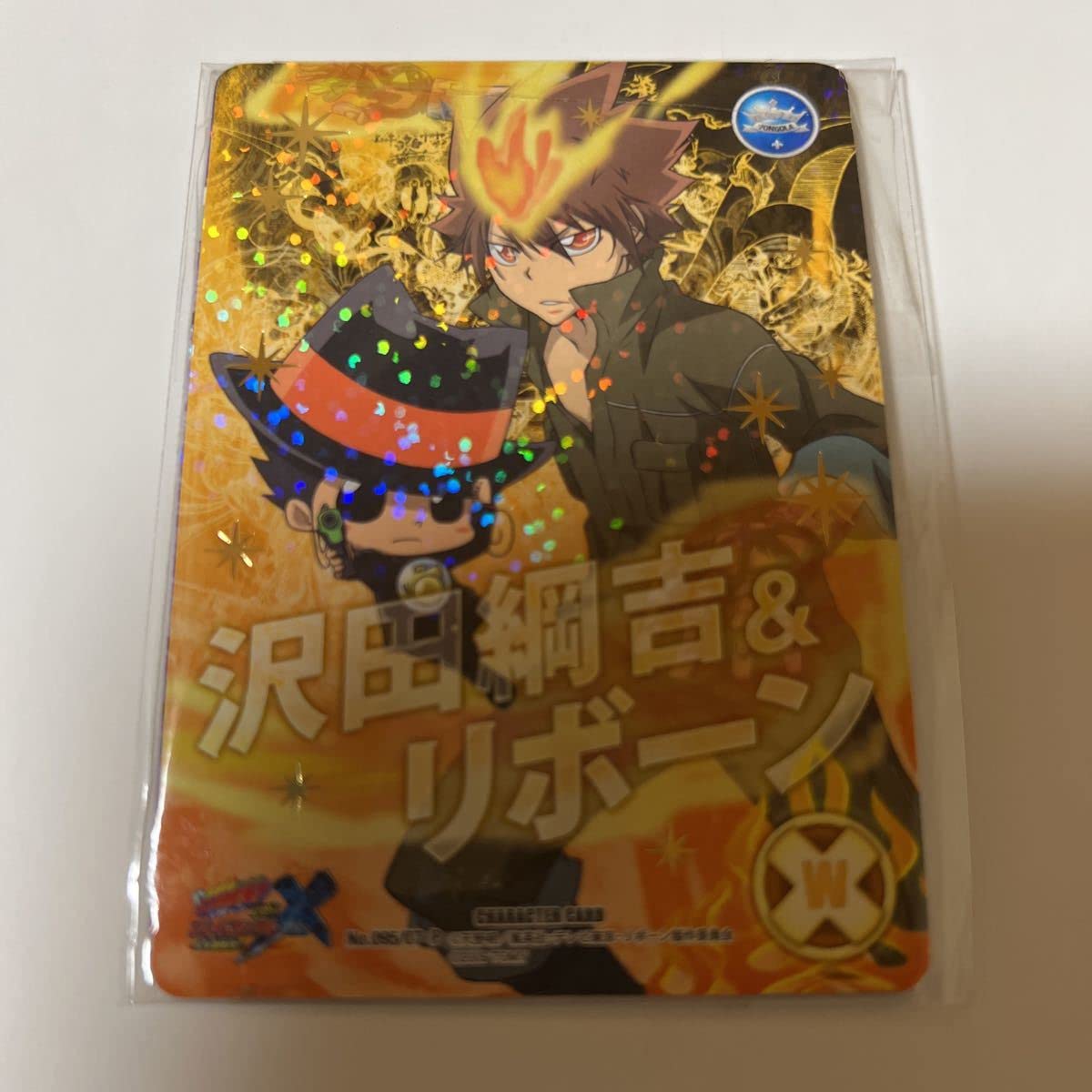 d*9様 【家庭教師ヒットマンREBORN！】沢田綱吉【CCG】 Amazon.co.jp: 家庭教師ヒットマンREBORN CCG 沢田綱吉＆リボーン : ホビー