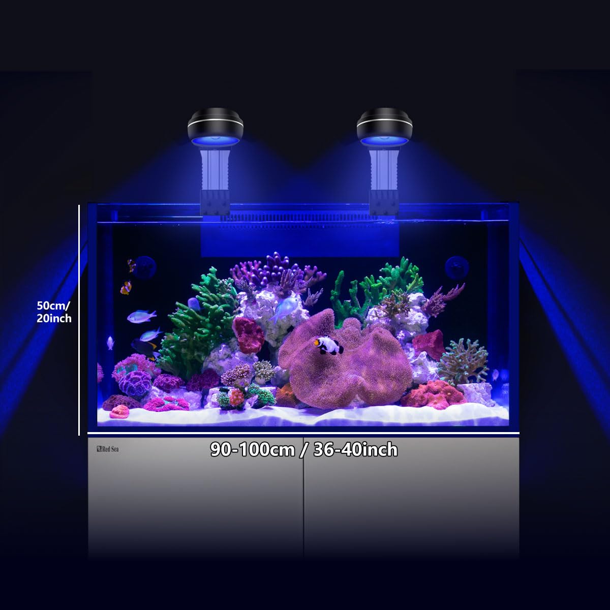 PopBloom APP-Kontrolle meerwasser aquarium led beleuchtung led lampen reef coral aquarium für 30-60cm Salzwasser Marine (60W (Schwarz))